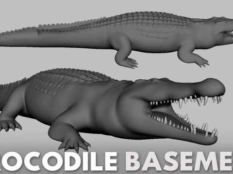 16 Wild Animals BaseMesh 3D Model