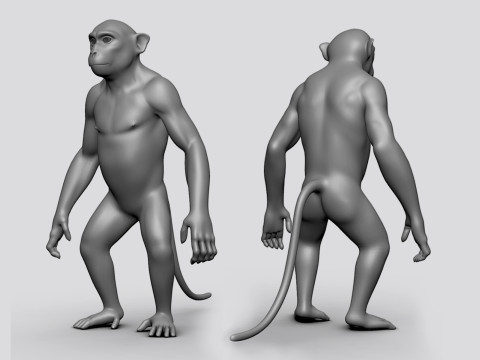 16 Wild Animals BaseMesh 3D Модель