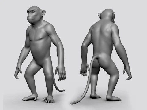 16 Wild Animals BaseMesh 3D Model