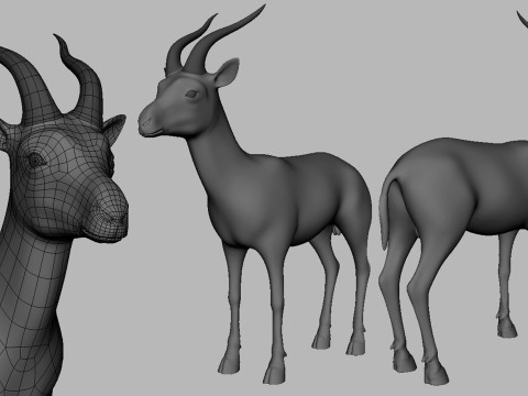 16 Wild Animals BaseMesh 3D Модель