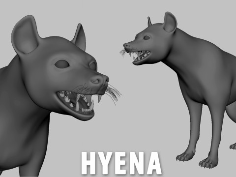 16 Wild Animals BaseMesh 3D Модель