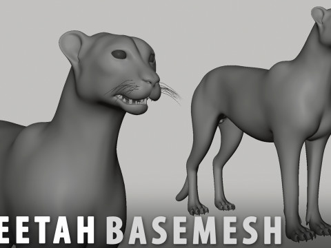 16 Wild Animals BaseMesh 3D Модель
