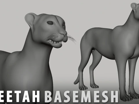 16 Wild Animals BaseMesh 3D Model
