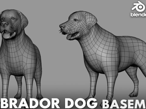 19 Domestic Animal 3D 模型