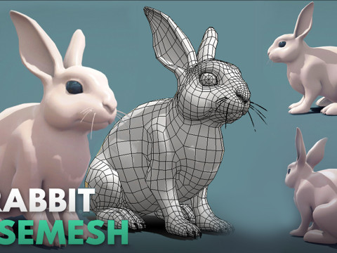 19 Domestic Animal 3D 模型