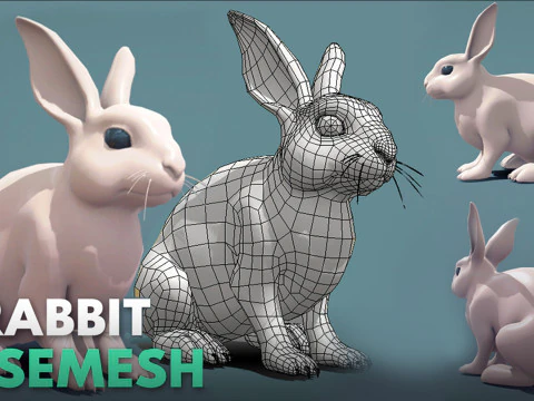 19 Domestic Animal 3D Model