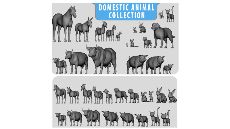 19 Domestic Animal 3D 模型 .c4d .max .obj .3ds .fbx .stl .blend 