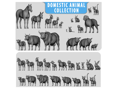 19 Domestic Animal 3D 모델