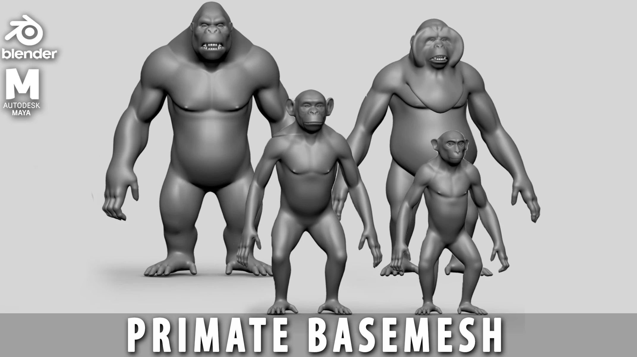 Primate Pack BaseMesh Monkey Chimp Gorilla Orangutan 3D Model .c4d .max .obj .3ds .fbx .stl .blend 