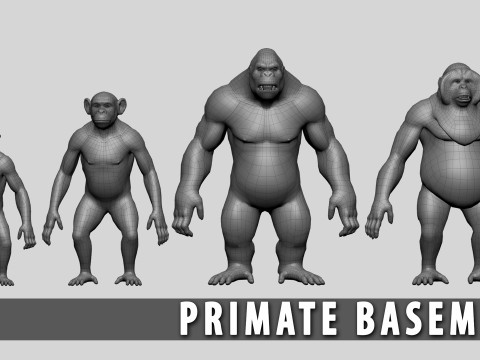 Primate Pack BaseMesh Monkey Chimp Gorilla Orangutan Model 3D