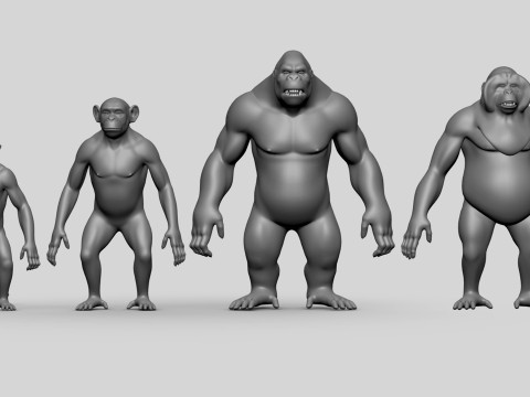 Primate Pack BaseMesh Monkey Chimp Gorilla Orangutan Model 3D
