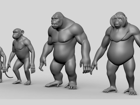 Primate Pack BaseMesh Monkey Chimp Gorilla Orangutan Model 3D