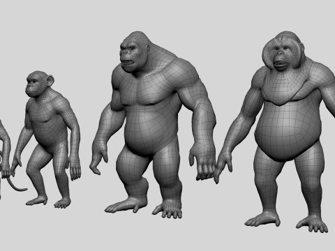 Primate Pack BaseMesh Monkey Chimp Gorilla Orangutan Model 3D