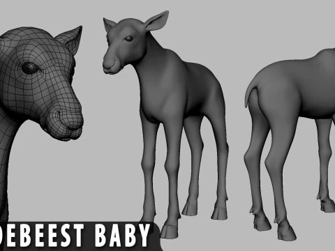 Beb&eacute; animal salvaje - Topolog&iacute;a Mapa UV Modelo 3D