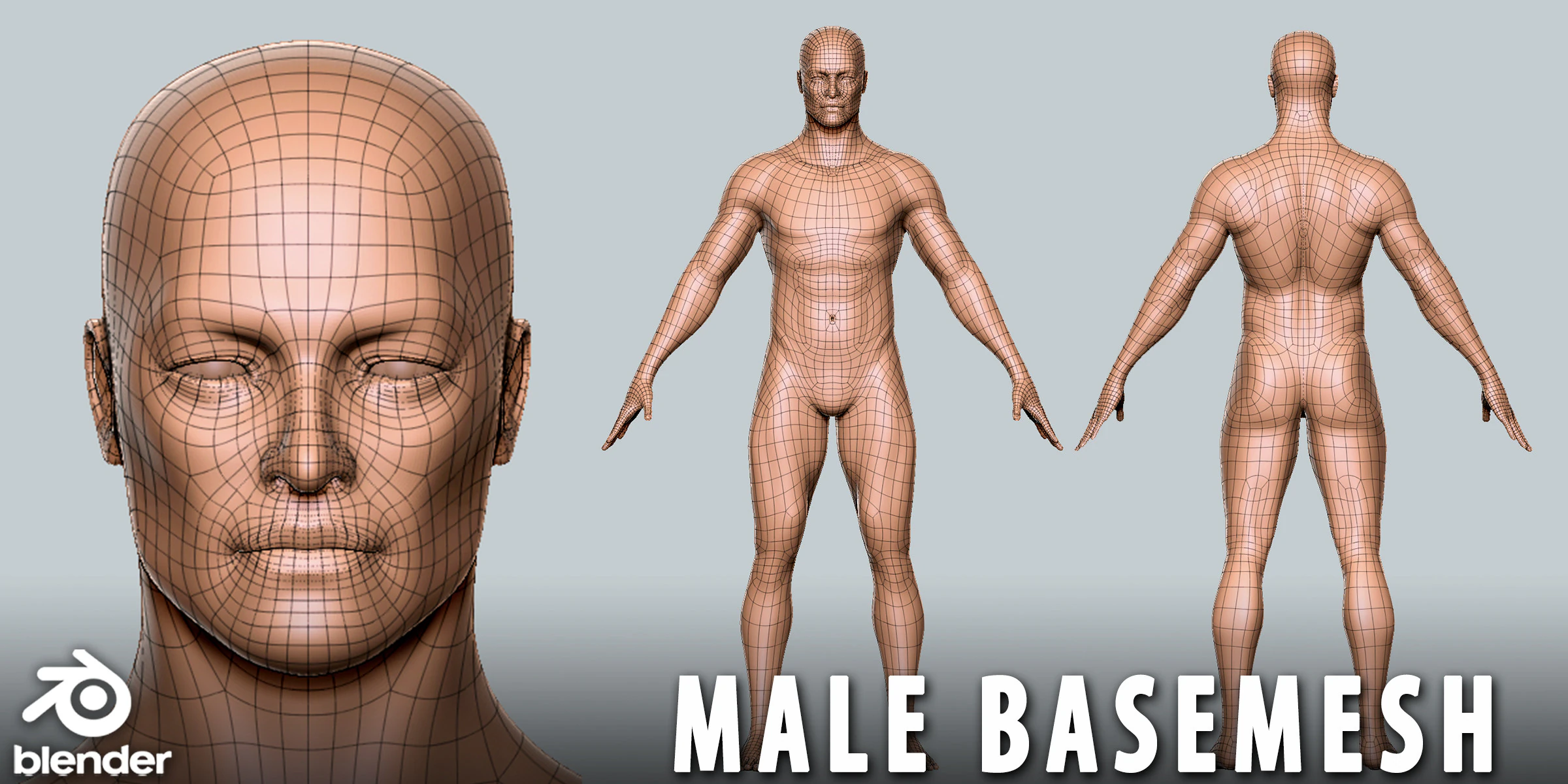Male Basemesh- Topology UV Map 3D Model .c4d .max .obj .3ds .fbx .stl .blend 