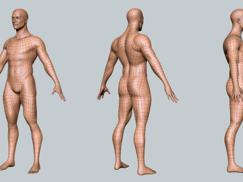 Male Basemesh- Topology UV Map 3D 모델