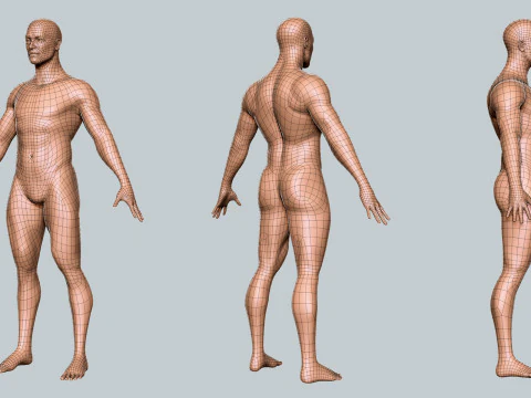 Male Basemesh- Topology UV Map 3D Model