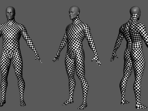 Male Basemesh- Topology UV Map 3D 모델