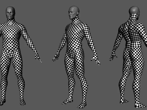 Male Basemesh- Topology UV Map 3D Model