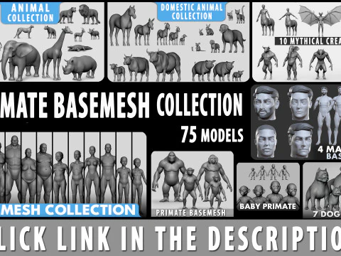 Male Basemesh- Topology UV Map 3D Model