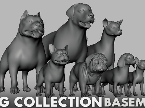 Ultimate Basemesh Collection - - Topology UV Map 3D Model