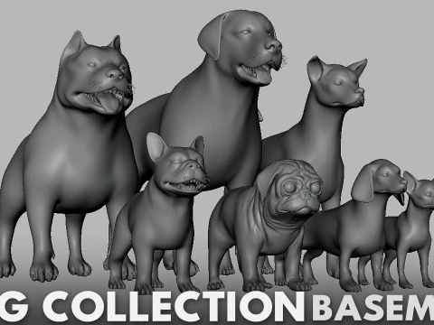Ultimate Basemesh Collection - - Topology UV Map 3D Model