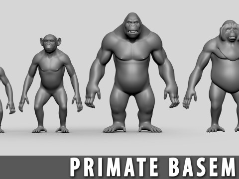 Ultimate Basemesh Collection - - Topology UV Map 3D Model