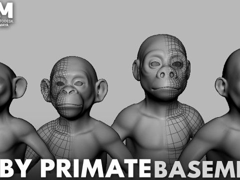 Ultimate Basemesh Collection - - Topology UV Map 3D Model