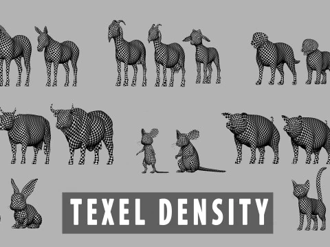 Ultimate Basemesh Collection - - Topology UV Map 3D Model