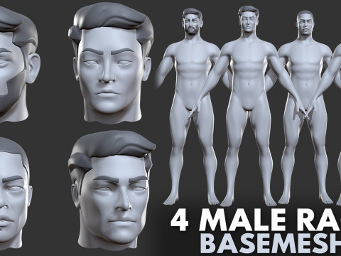 Ultimate Basemesh Collection - - Topology UV Map 3D Model