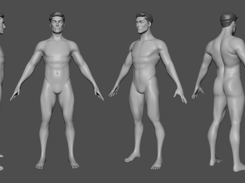 Ultimate Basemesh Collection - - Topology UV Map 3D Model