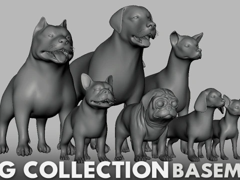 Ultimate Basemesh Collection - - Topology UV Map 3D Model