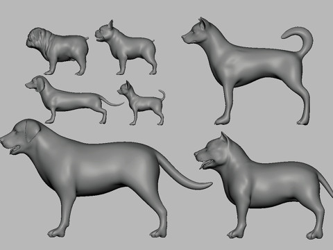 Ultimate Basemesh Collection - - Topology UV Map 3D Model