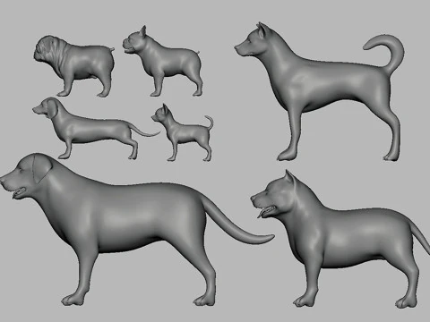 Ultimate Basemesh Collection - - Topology UV Map 3D Model