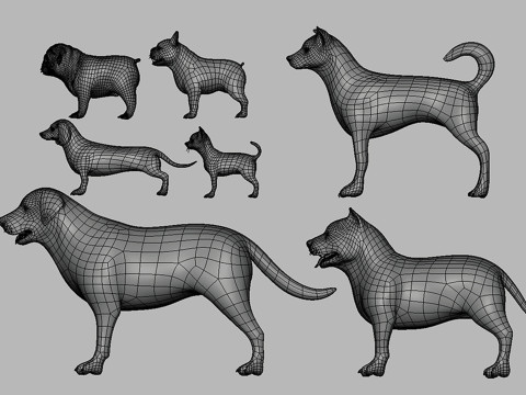 Ultimate Basemesh Collection - - Topology UV Map 3D Model