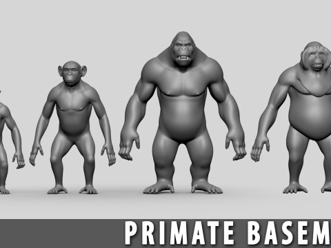 Ultimate Basemesh Collection - - Topology UV Map 3D Model
