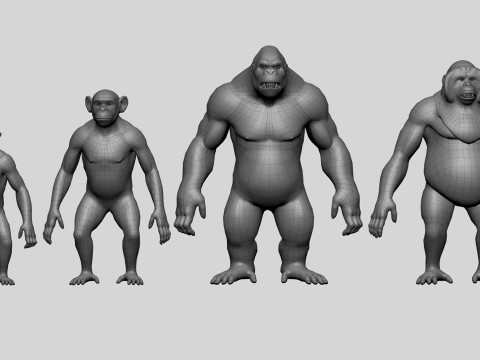 Ultimate Basemesh Collection - - Topology UV Map 3D Model