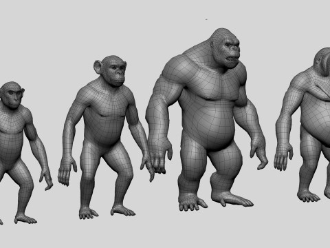 Ultimate Basemesh Collection - - Topology UV Map 3D Model