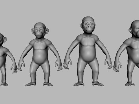 Ultimate Basemesh Collection - - Topology UV Map 3D Model