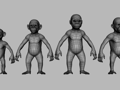 Ultimate Basemesh Collection - - Topology UV Map 3D Model