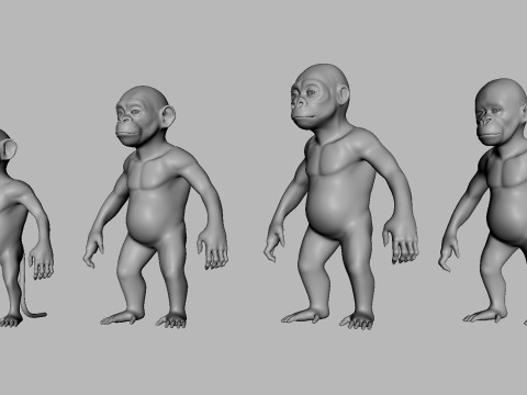 Ultimate Basemesh Collection - - Topology UV Map 3D Model
