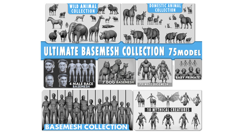 Ultimate Basemesh Collection - - Topology UV Map 3D Model .c4d .max .obj .3ds .fbx .stl .blend