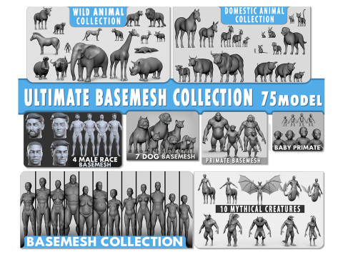 Ultimate Basemesh Collection - - Topology UV Map 3D मॉडल
