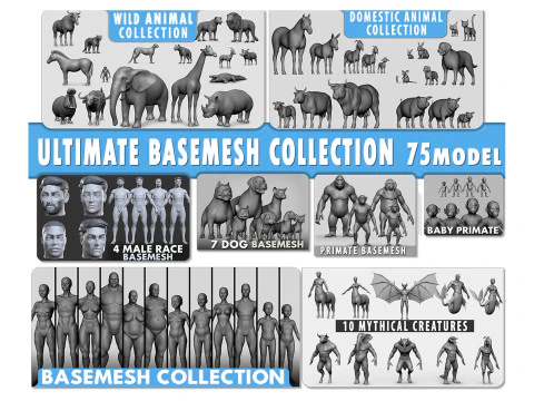 Cole&ccedil;&atilde;o Ultimate Basemesh - - Mapa UV de topologia Modelo 3D