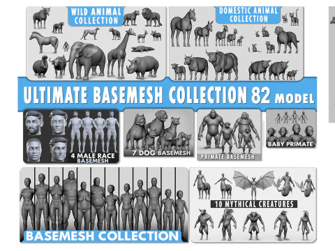 Ultimate Basemesh Collection - - Topology UV Map 3D Model