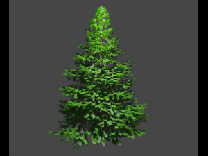 Christmas tree 3D Model