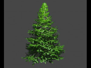 kerstboom 3D Model