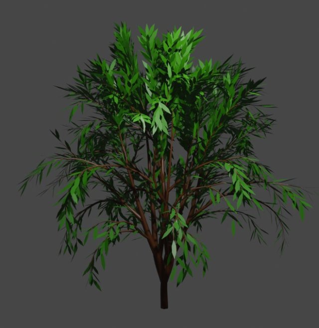 TreeCallistemon Modelo 3D .c4d .max .obj .3ds .fbx .stl .blend 