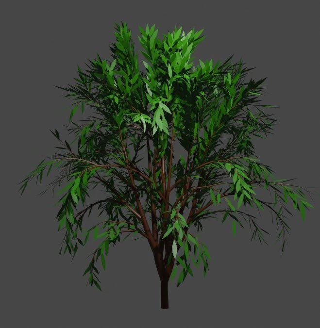 TreeCallistemon 3D Model .c4d .max .obj .3ds .fbx .stl .blend