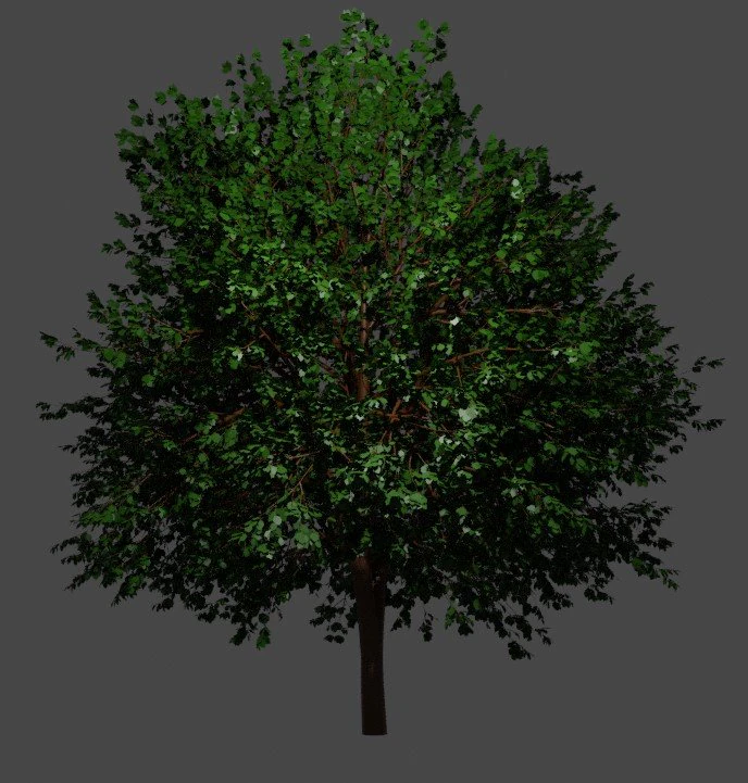Tree Small maple 3D Model .c4d .max .obj .3ds .fbx .stl .blend 